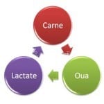 Retete365.RO   Dieta dukan   Faza de atac   Sa bucatarim cu Leta