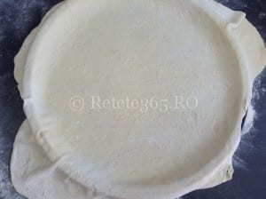 Retete365.RO   Blat pentru Pizza 1   Sa bucatarim cu Leta