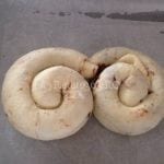 Retete365.RO   Colacel de post cu nuca   Sa bucatarim cu Leta