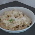 Retete365.RO   Tortiglioni quatro formaggi   Sa bucatarim cu Leta